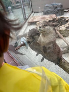横浜・八景島シーパラダイスに投稿された画像（2025/6/1）