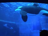 名古屋港水族館に投稿された画像（2025/6/1）