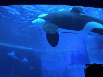 名古屋港水族館に投稿された画像（2025/6/1）
