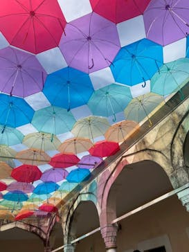 野外民族博物館 リトルワールドに投稿された画像（2025/6/1）