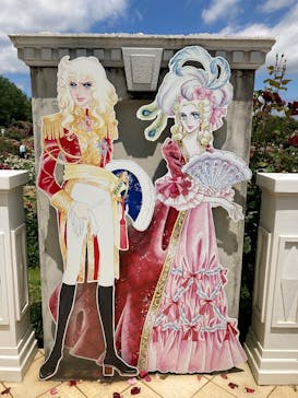 京成バラ園に投稿された画像（2025/6/1）