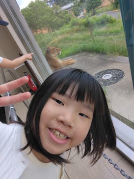 東京動物園協会_多摩動物公園に投稿された画像（2025/6/1）