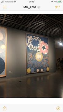 ヒルマ・アフ・クリント展（東京国立近代美術館）に投稿された画像（2025/6/1）