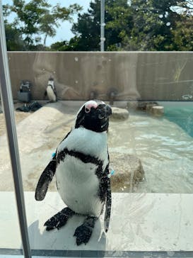 マリンワールド海の中道に投稿された画像（2025/6/1）