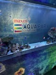 マクセル アクアパーク品川に投稿された画像（2025/6/1）
