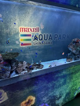 マクセル アクアパーク品川に投稿された画像（2025/6/1）