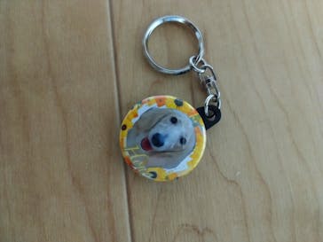 いぬカフェRio 池袋店に投稿された画像（2025/6/1）