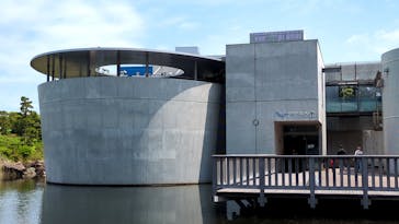 しながわ水族館に投稿された画像（2025/6/1）