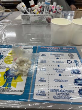海洋堂ホビーランドに投稿された画像（2025/6/1）