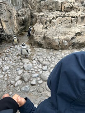 横浜・八景島シーパラダイスに投稿された画像（2025/6/1）