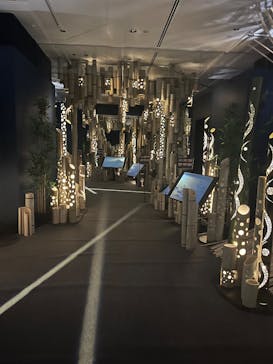 HOKUSAI : ANOTHER STORY in TOKYOに投稿された画像（2025/6/1）