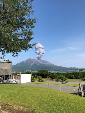 仙巌園に投稿された画像（2025/6/1）