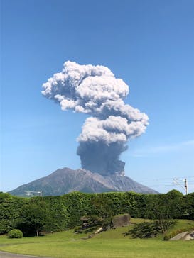 仙巌園に投稿された画像（2025/6/1）