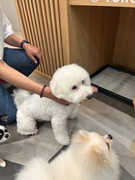 いぬカフェRio ゆめタウン佐賀店に投稿された画像（2025/6/1）