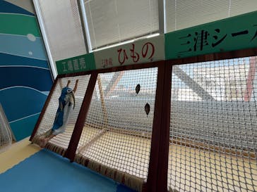 伊豆・三津シーパラダイスに投稿された画像（2025/6/1）