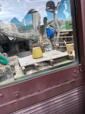 天王寺動物園に投稿された画像（2025/6/2）