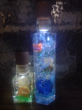 ずこうしつ〜sugamo〜に投稿された画像（2025/5/30）