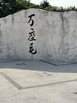 セルリアンブルーに投稿された画像（2025/6/2）