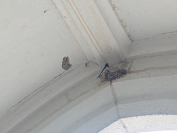 博物館 明治村に投稿された画像（2025/6/2）