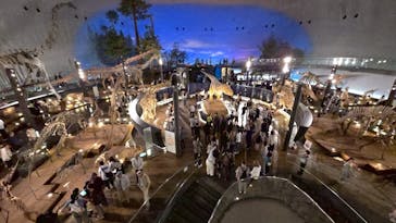 福井県立恐竜博物館に投稿された画像（2025/6/2）