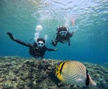 青の洞窟専門店　沖縄ダイビングショップ和に投稿された画像（2025/6/2）