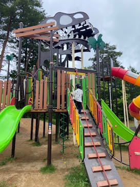 福井県立恐竜博物館に投稿された画像（2025/6/2）