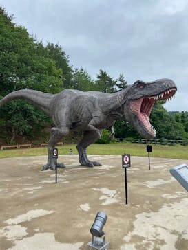 福井県立恐竜博物館に投稿された画像（2025/6/2）