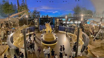 福井県立恐竜博物館に投稿された画像（2025/6/2）