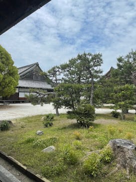 元離宮二条城に投稿された画像（2025/6/2）