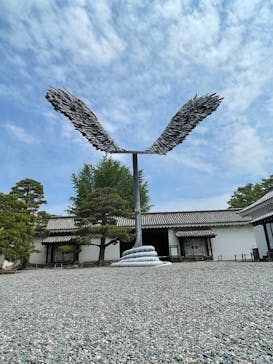 元離宮二条城に投稿された画像（2025/6/2）