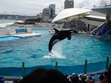 鴨川シーワールドに投稿された画像（2025/6/2）