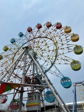 とちのきファミリーランドに投稿された画像（2025/6/2）