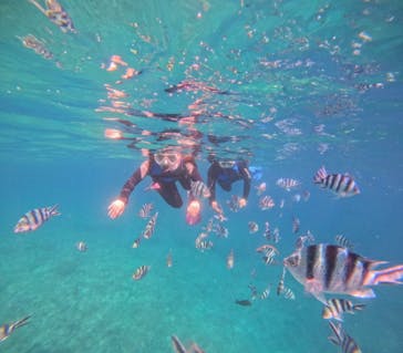 沖縄マリンサービス碧に投稿された画像（2025/6/2）