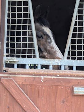 ノーザンホースパークに投稿された画像（2025/6/2）