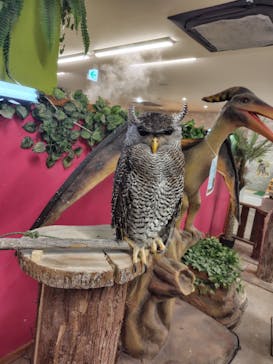 アニタッチ 東京ドームシティに投稿された画像（2025/6/2）