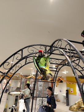 アニタッチ 東京ドームシティに投稿された画像（2025/6/2）