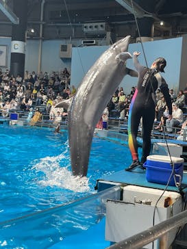 マクセル アクアパーク品川に投稿された画像（2025/6/2）