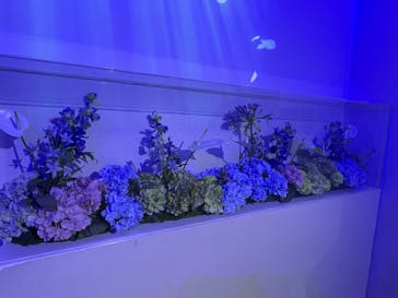 マクセル アクアパーク品川に投稿された画像（2025/6/2）