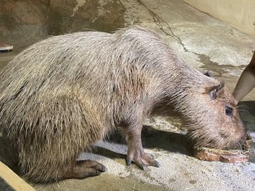 マクセル アクアパーク品川に投稿された画像（2025/6/2）