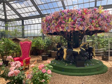 京成バラ園に投稿された画像（2025/6/2）