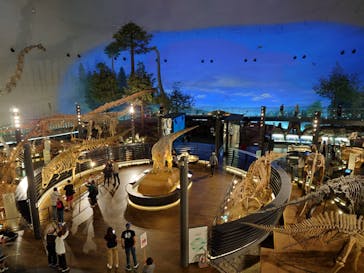 福井県立恐竜博物館に投稿された画像（2025/6/2）