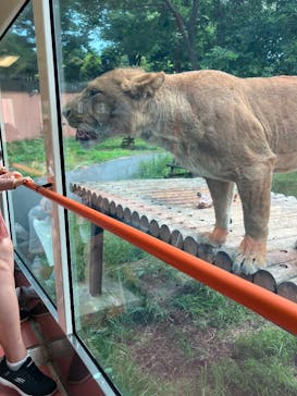 東京動物園協会_多摩動物公園に投稿された画像（2025/6/2）