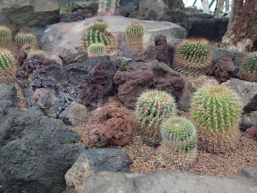 伊豆シャボテン動物公園に投稿された画像（2025/6/2）