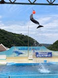 下田海中水族館に投稿された画像（2025/6/2）