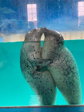 下田海中水族館に投稿された画像（2025/6/2）