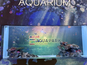 マクセル アクアパーク品川に投稿された画像（2025/6/2）