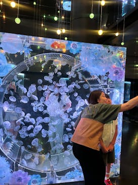 マクセル アクアパーク品川に投稿された画像（2025/6/2）