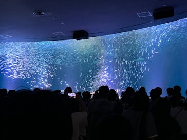 名古屋港水族館に投稿された画像（2025/6/2）