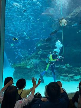 名古屋港水族館に投稿された画像（2025/6/2）