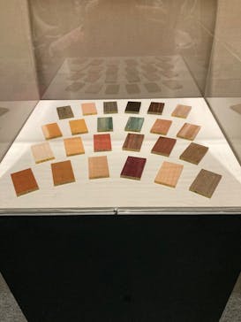 ポケモン×工芸展－美とわざの大発見－に投稿された画像（2025/6/2）